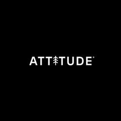 Attitude
